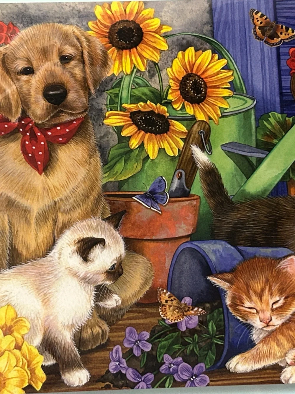300-Piece Pets Puzzle - Colorful Floral Puppies & Kittens
